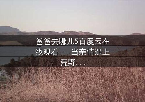 爸爸去哪儿5百度云在线观看 - 当亲情遇上荒野,萌娃老爸如何破局?