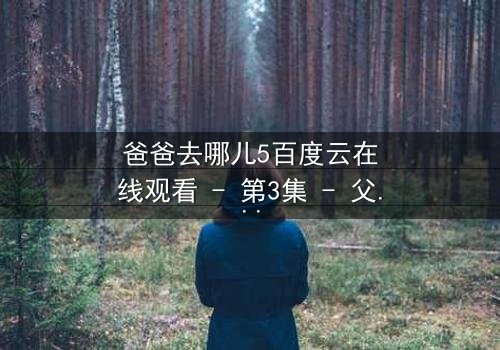 爸爸去哪儿5百度云在线观看 - 第3集 - 父子情深背后的秘密冲突